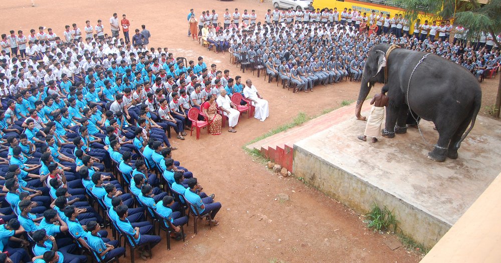 elephant teacher........