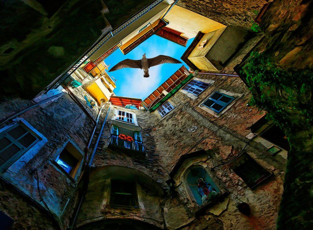 Дневной дозор