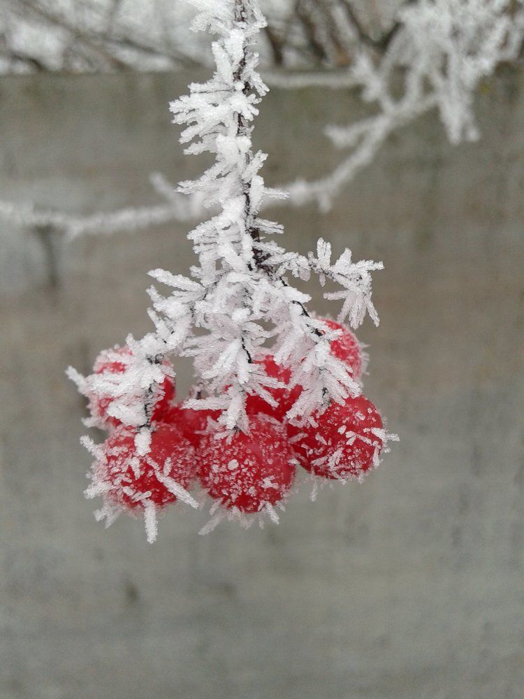 Photograph by Аня