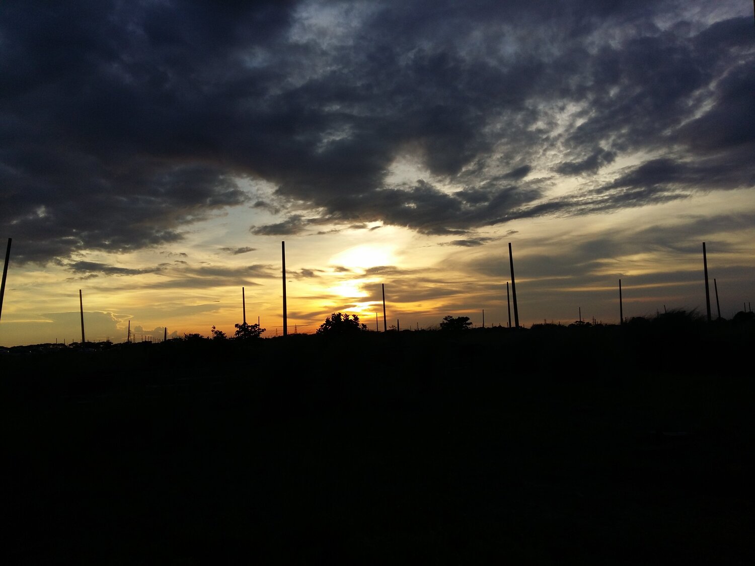 evening sun-set