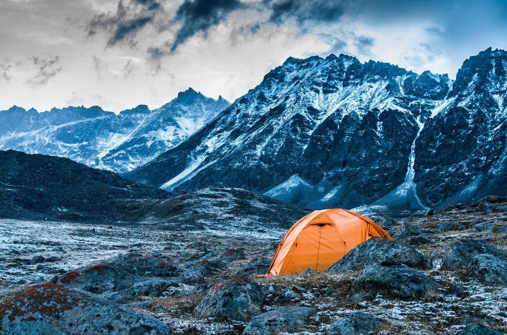 Припорошило