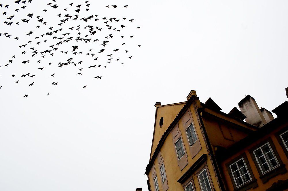 ещё раз про свободу