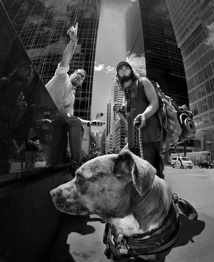 Язык до Киева доведёт