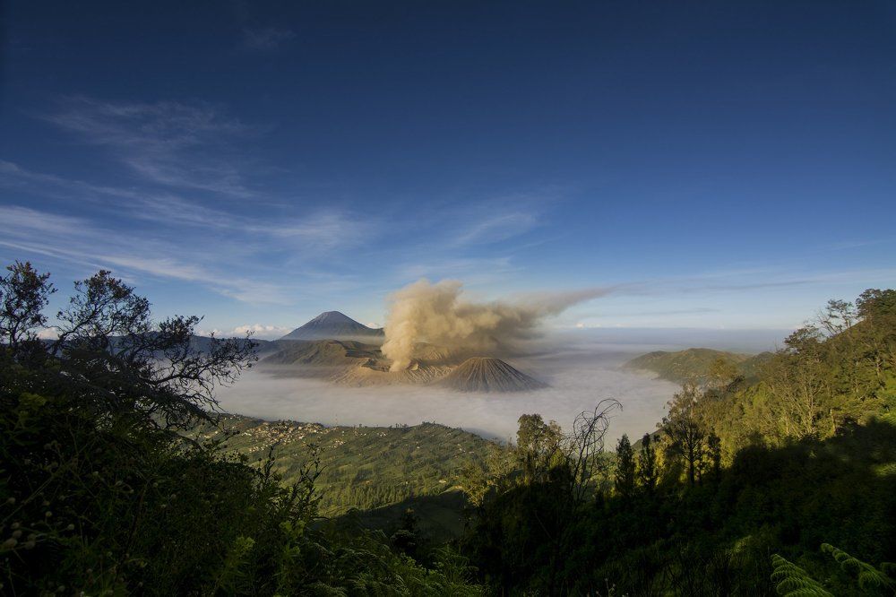 enjoying the morning light from Rogowulan Mount Bromo