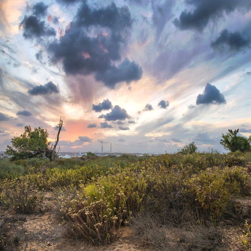 -волшебная палитра заката-