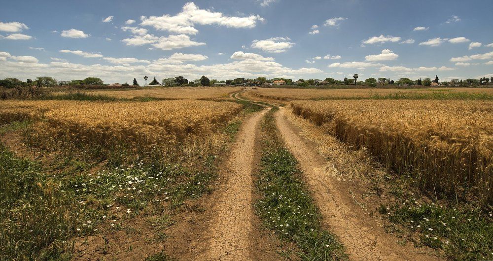 -дорога к дому-