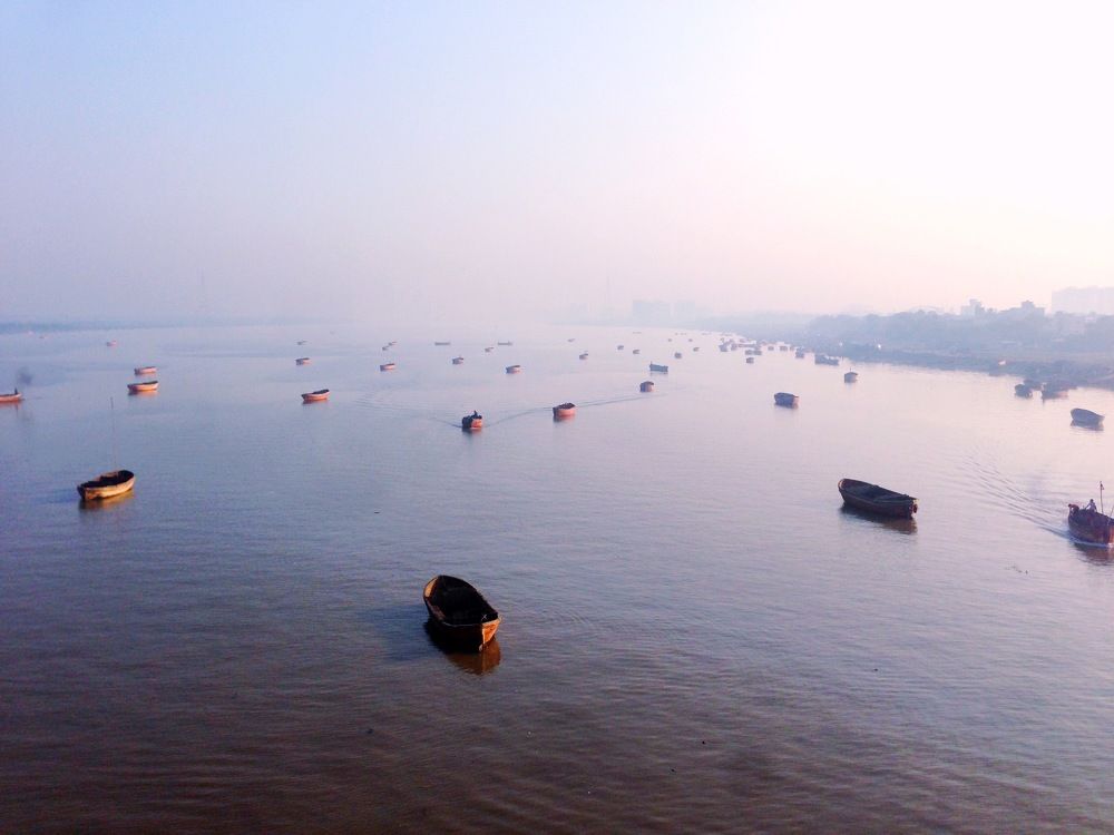 Morning beauty of river Tapi