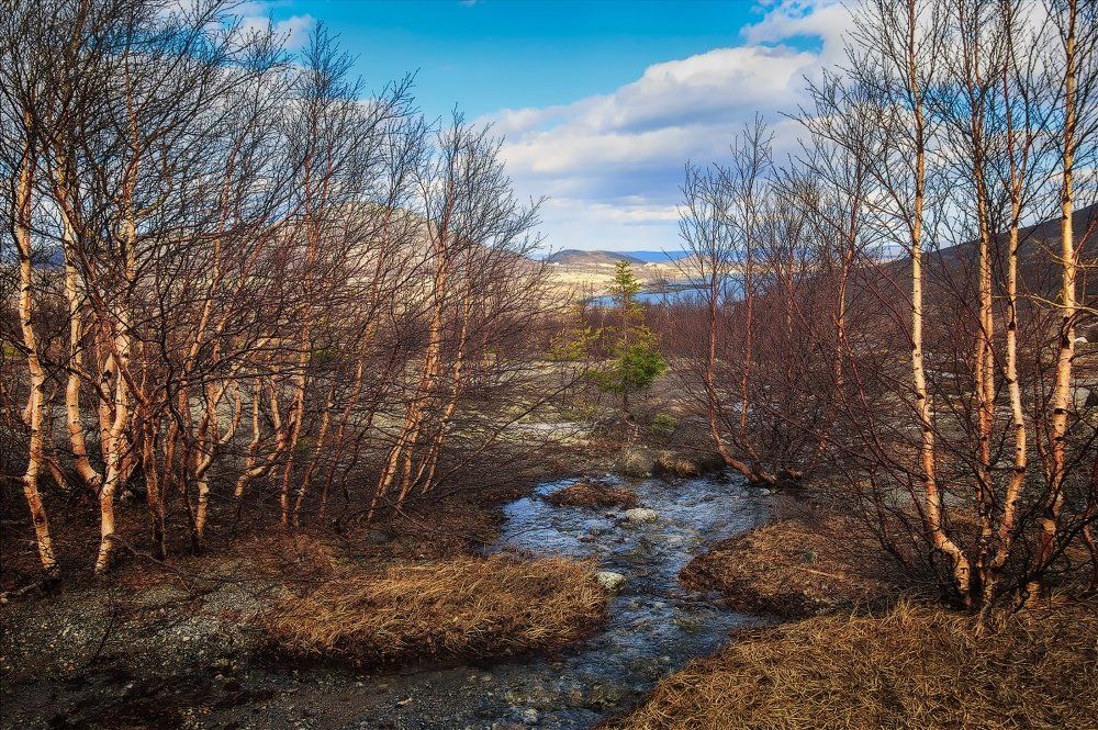 Весна в Заполярье