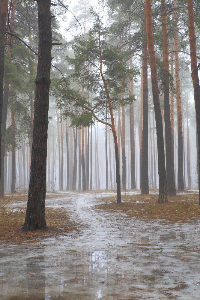 ...осенью - весны!