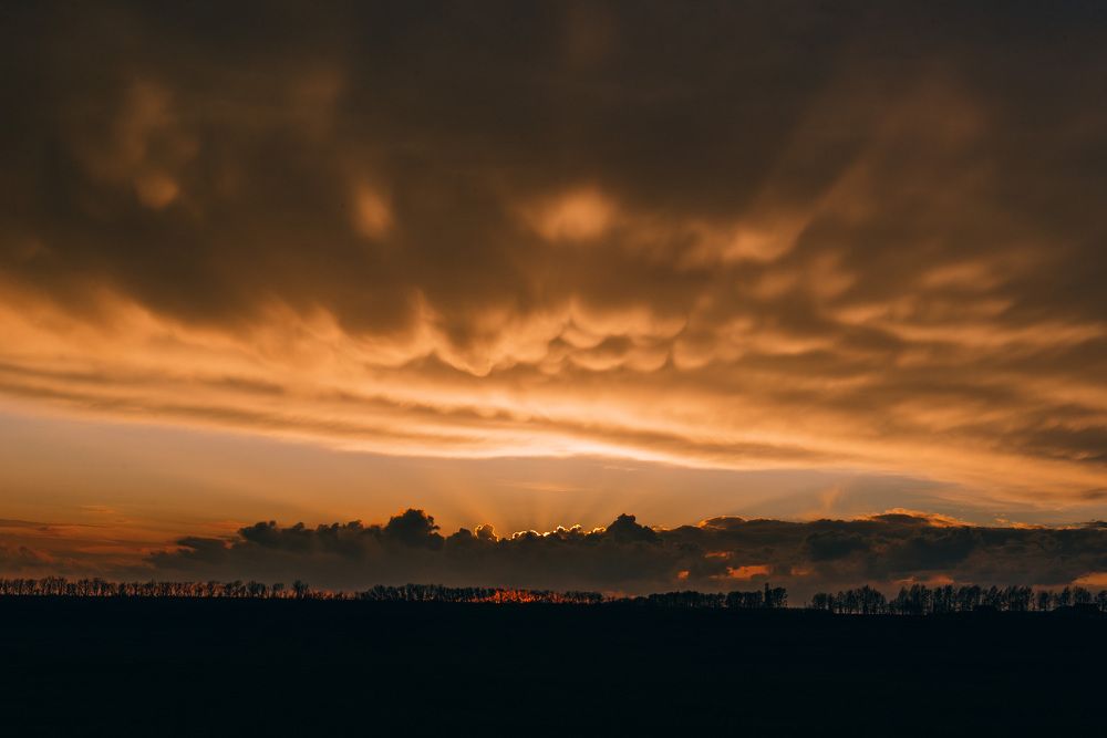 Симфония заката