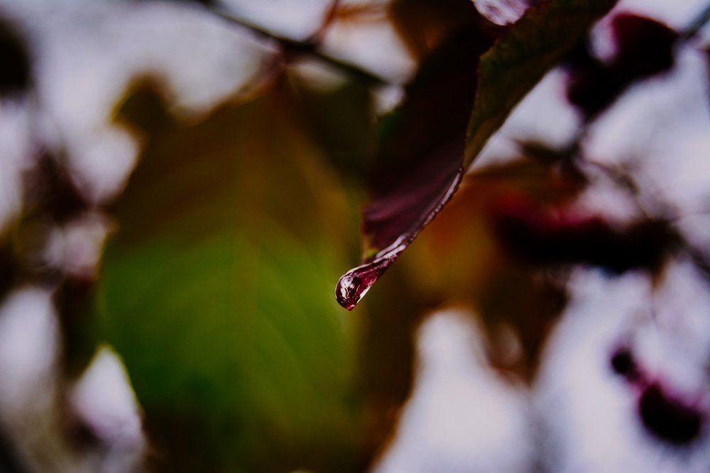 Photograph by Иван Максимов