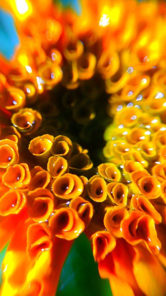 Photograph by Kandubasha