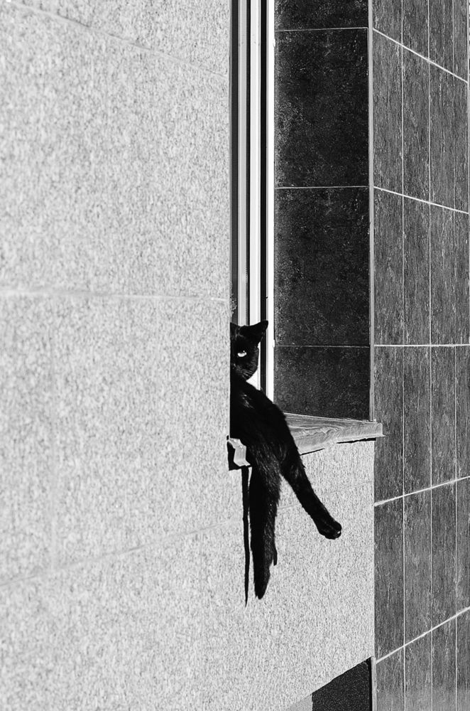 Photograph by Стоп Александр