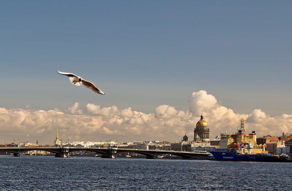 Над Невским простором