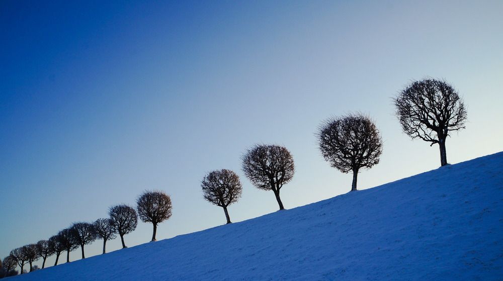 Силуэты зимнего морозного вечера.