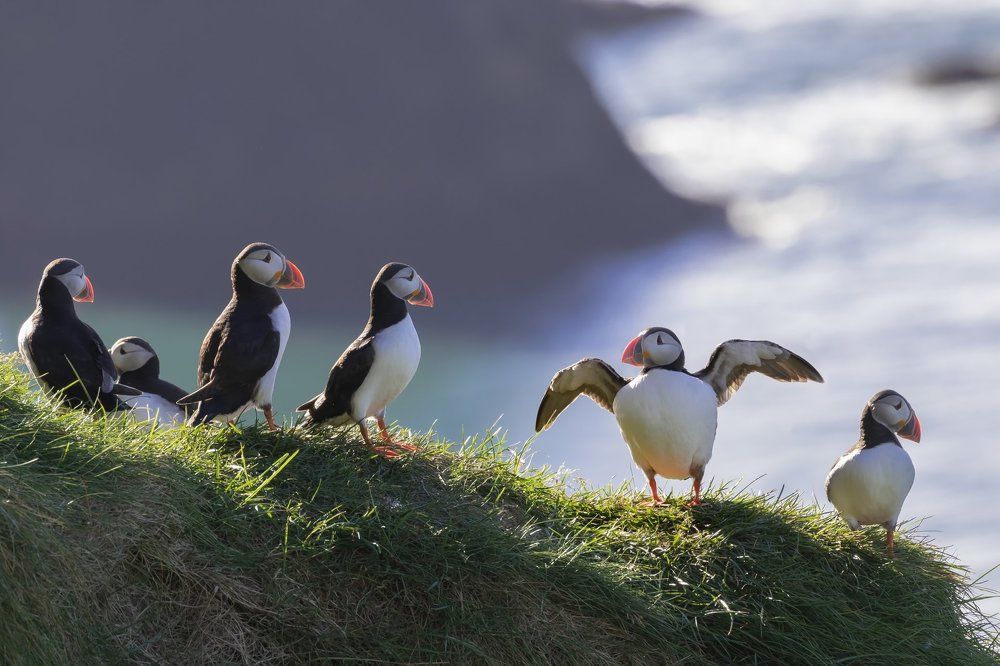 Я вчера поймал воооот такууую рыбу!!!