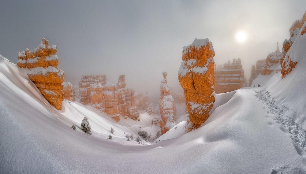В стране Гигантов...