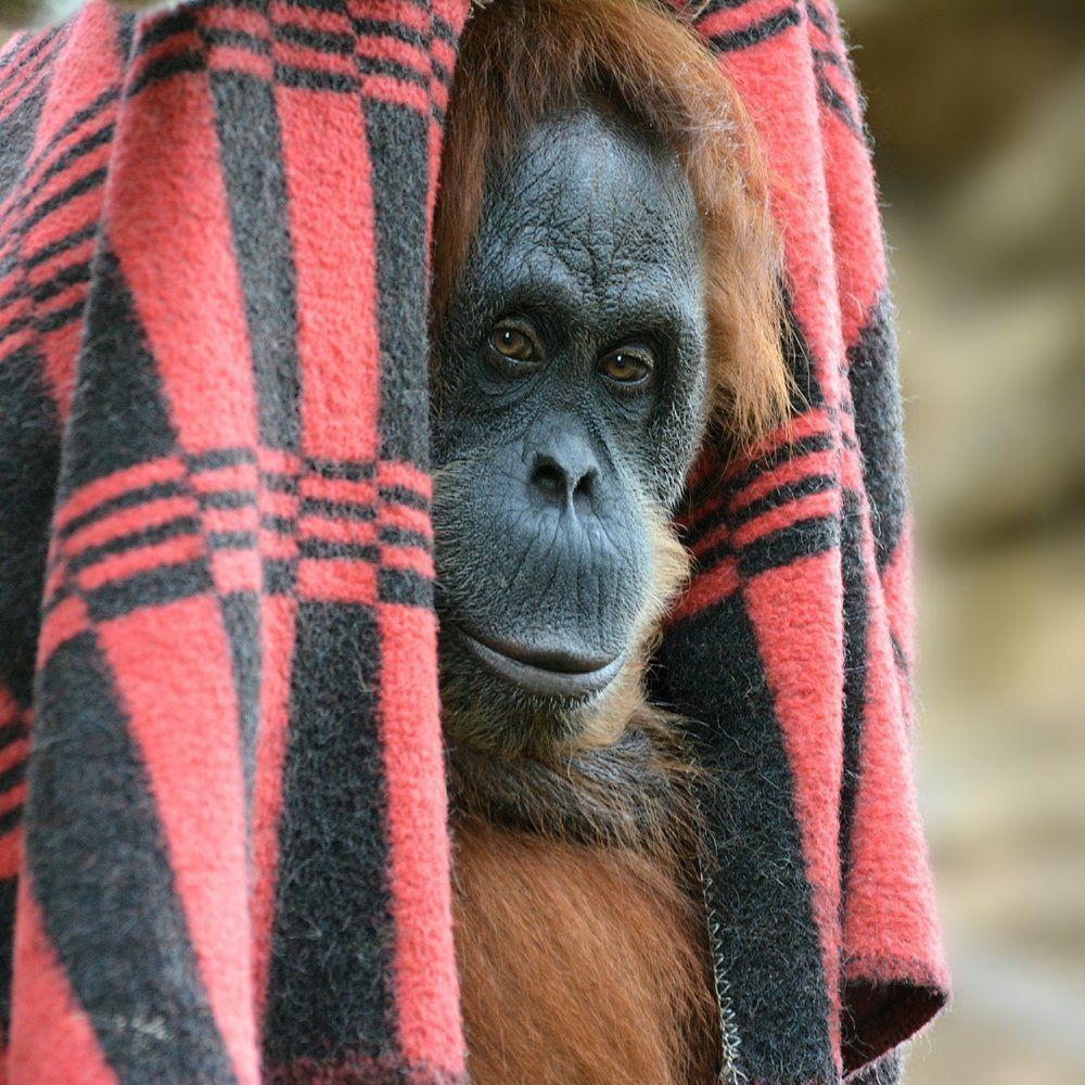 Холодно, однако