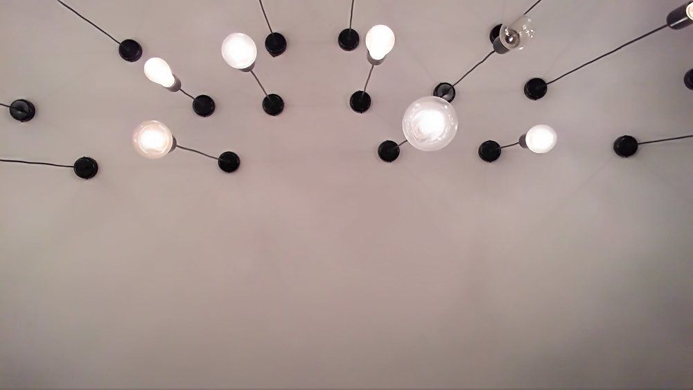 Bulbs