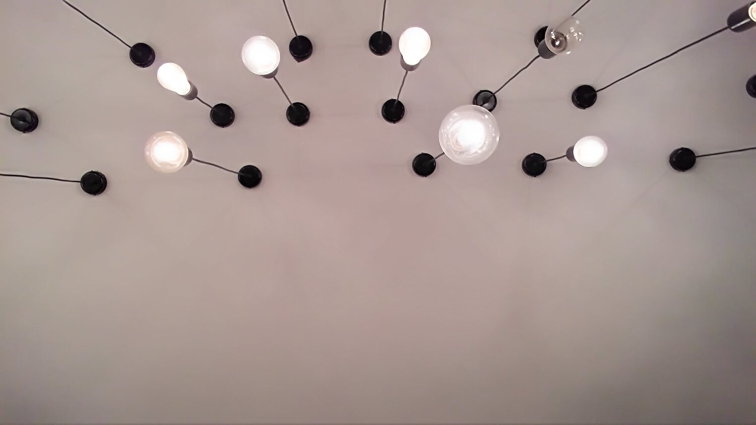 Bulbs
