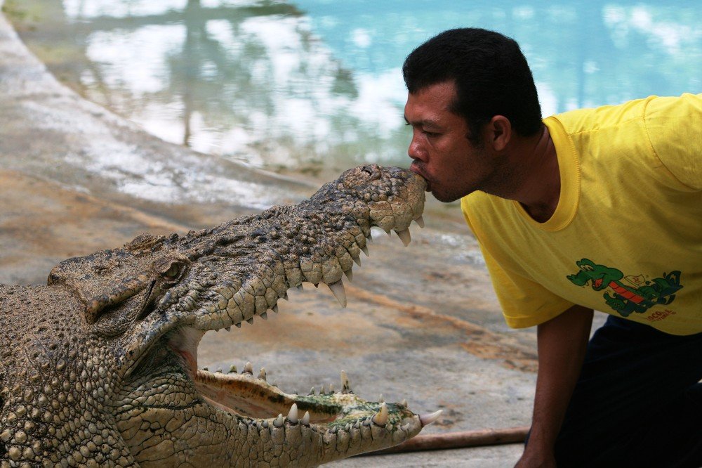 Croco death kiss