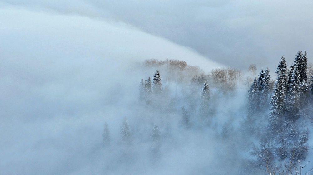 Ноябрьский туман