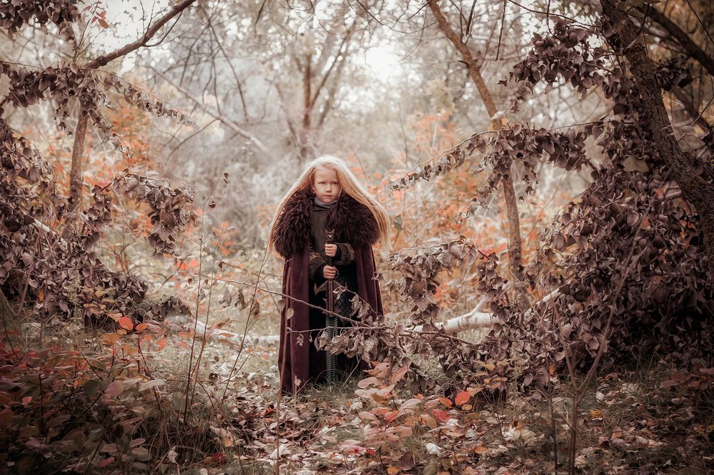 История одного Викинга ...