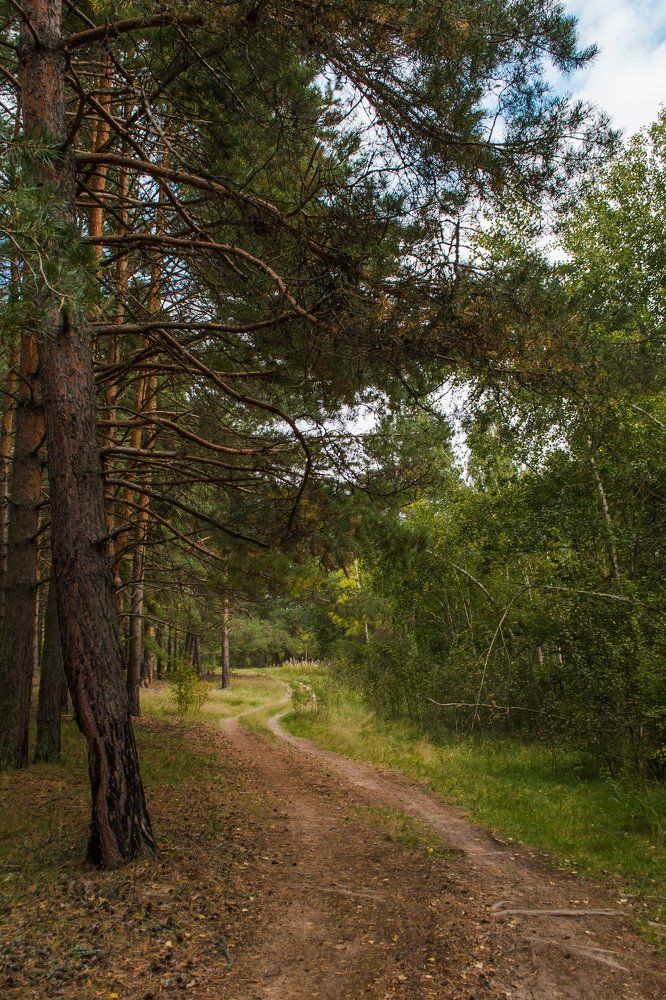 Photograph by Татьяна Скородумова