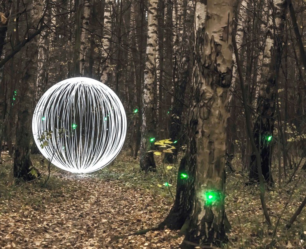 Прогулки в осеннем лесу.