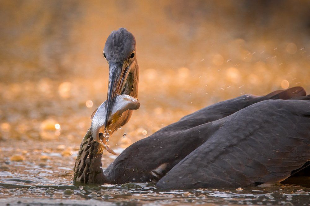 Photograph by Дмитрий Вилюнов