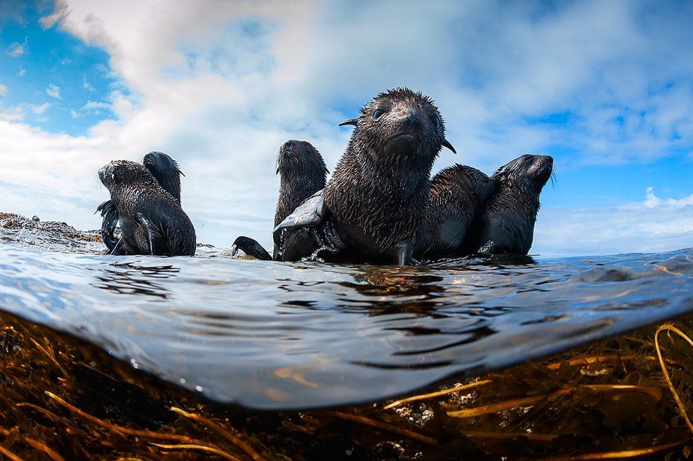 НЕ ВОЛНУЙТЕСЬ, Я РАЗБЕРУСЬ!