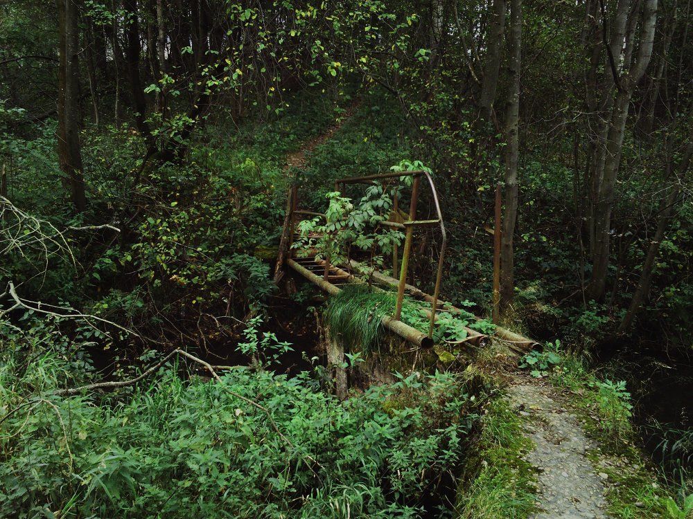 Photograph by Анастасия