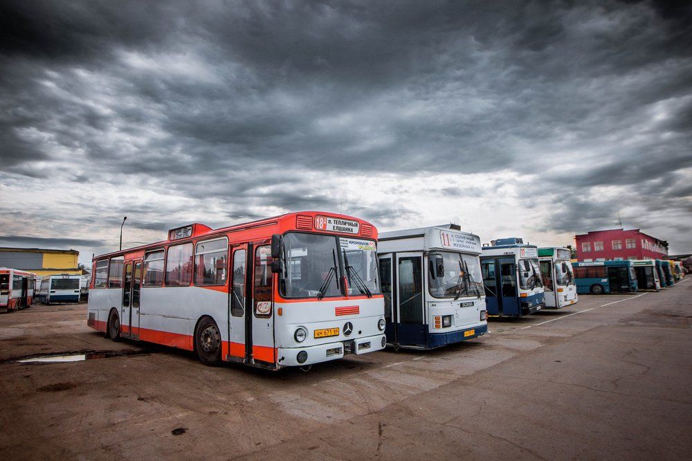 Лоурайдбусы