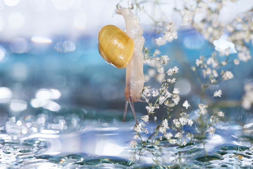 Нарушая законы физики