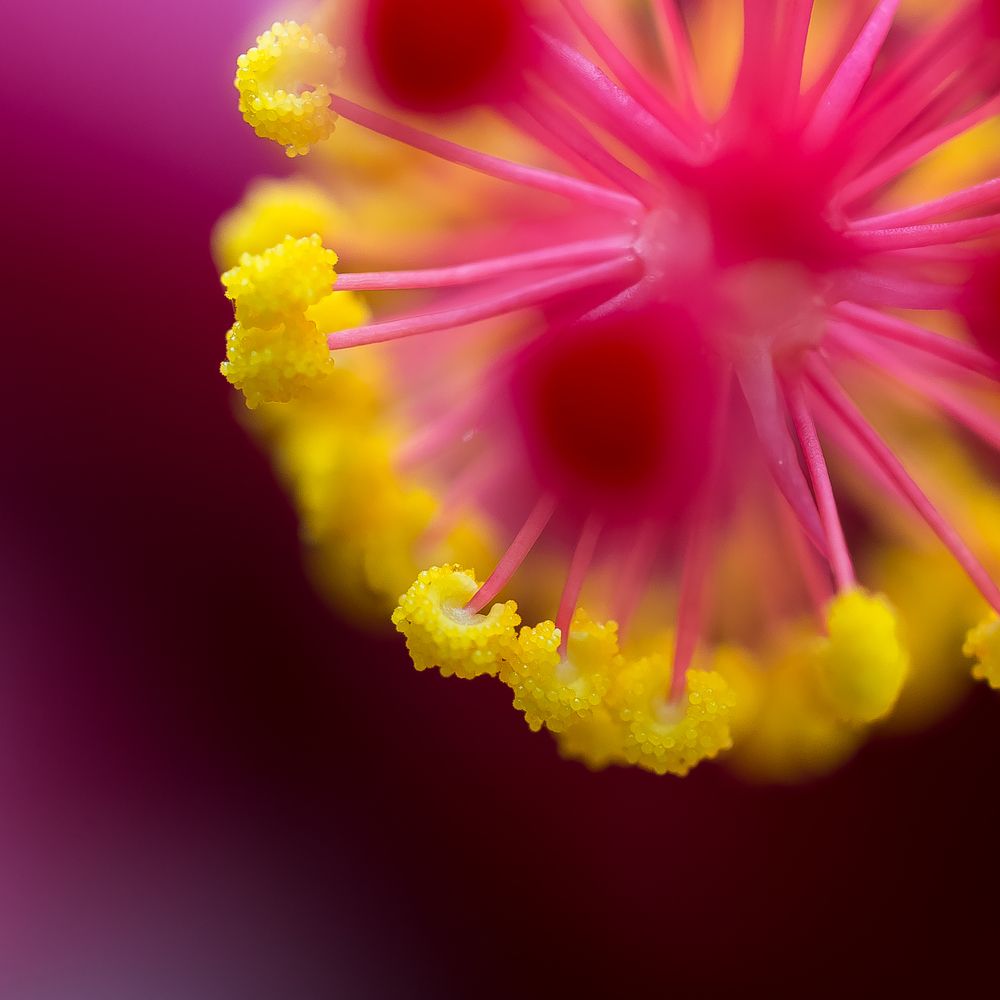 Photograph by Городничева Елена