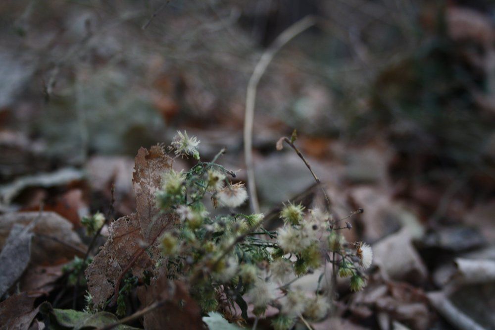 Photograph by Анна