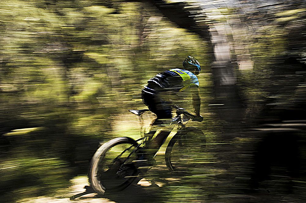 Blood Sweat and Gears