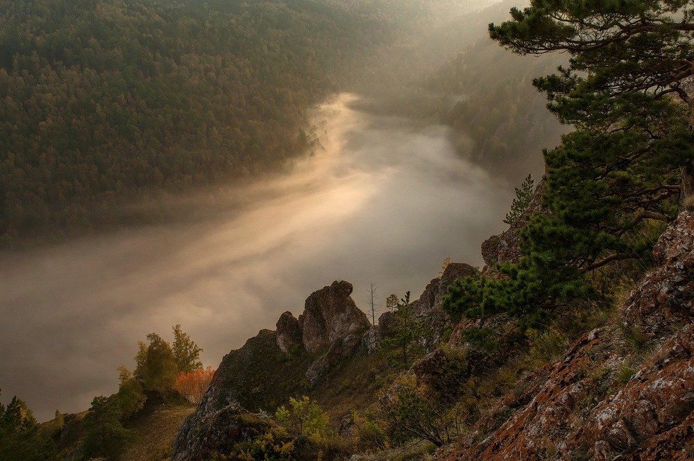 Таежные туманы.