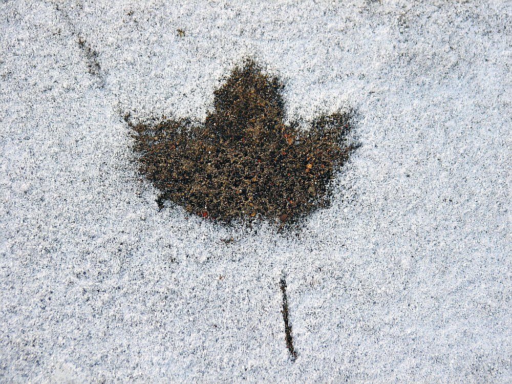 След недавно ушедшей осени...