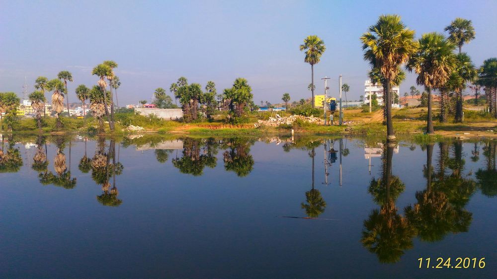 Lake view (landscape)