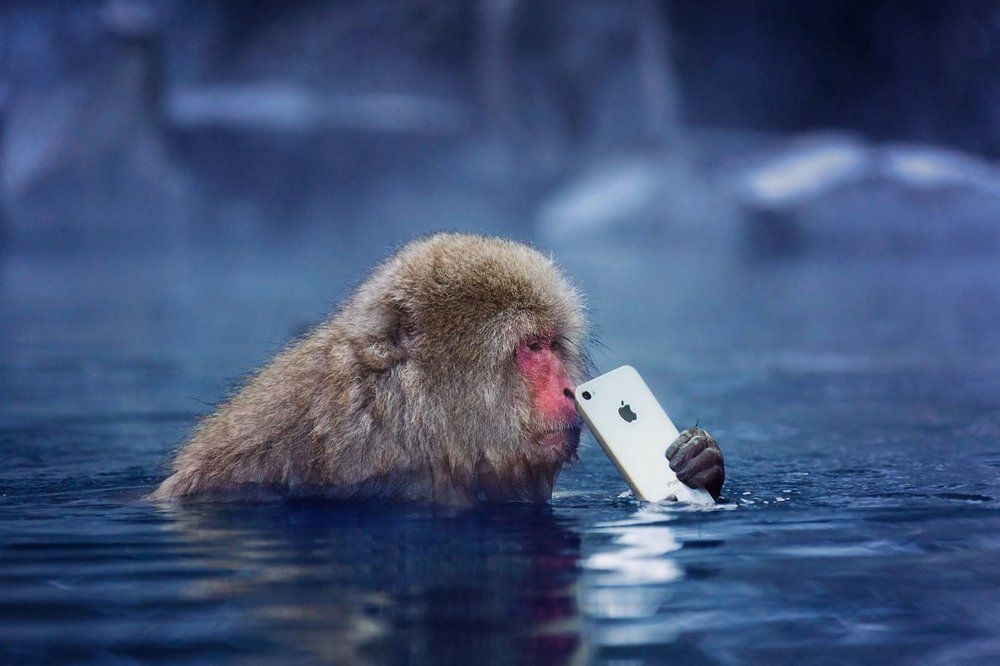 И кому бы позвонить?