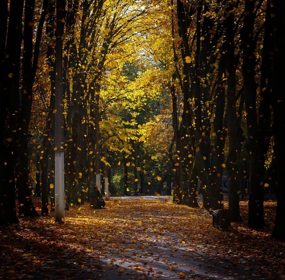 Хроники ноября.