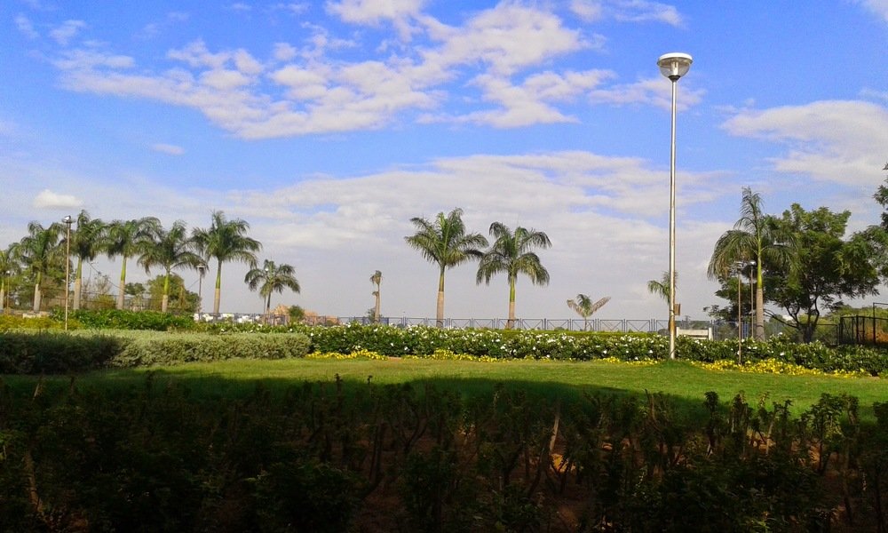Land scape
