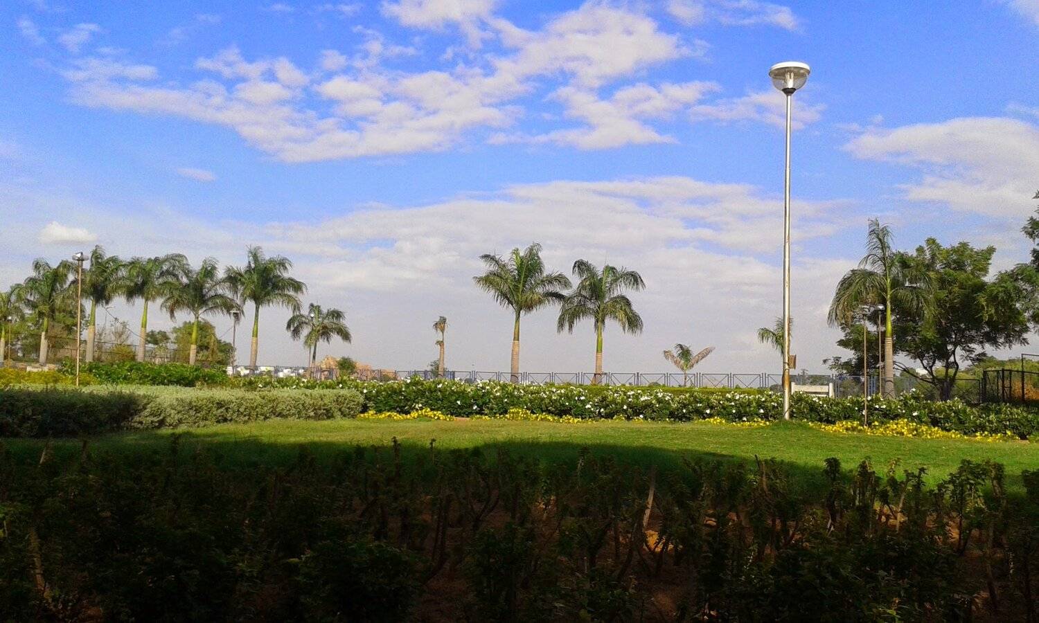 Land scape