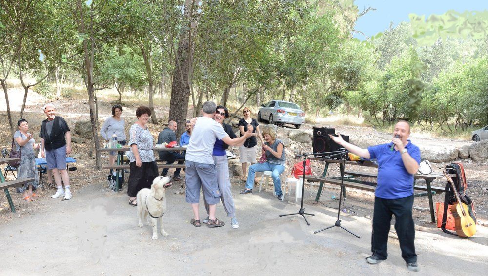 Хозяйку увели!