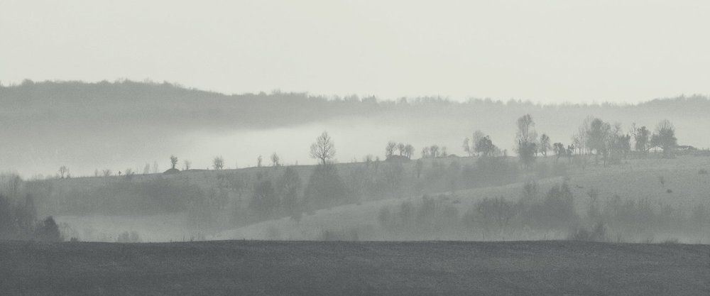 Свобода выбора