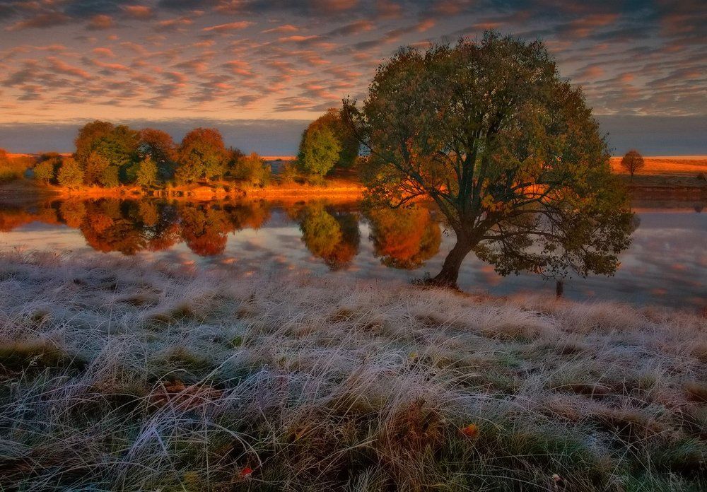 Первые заморозки