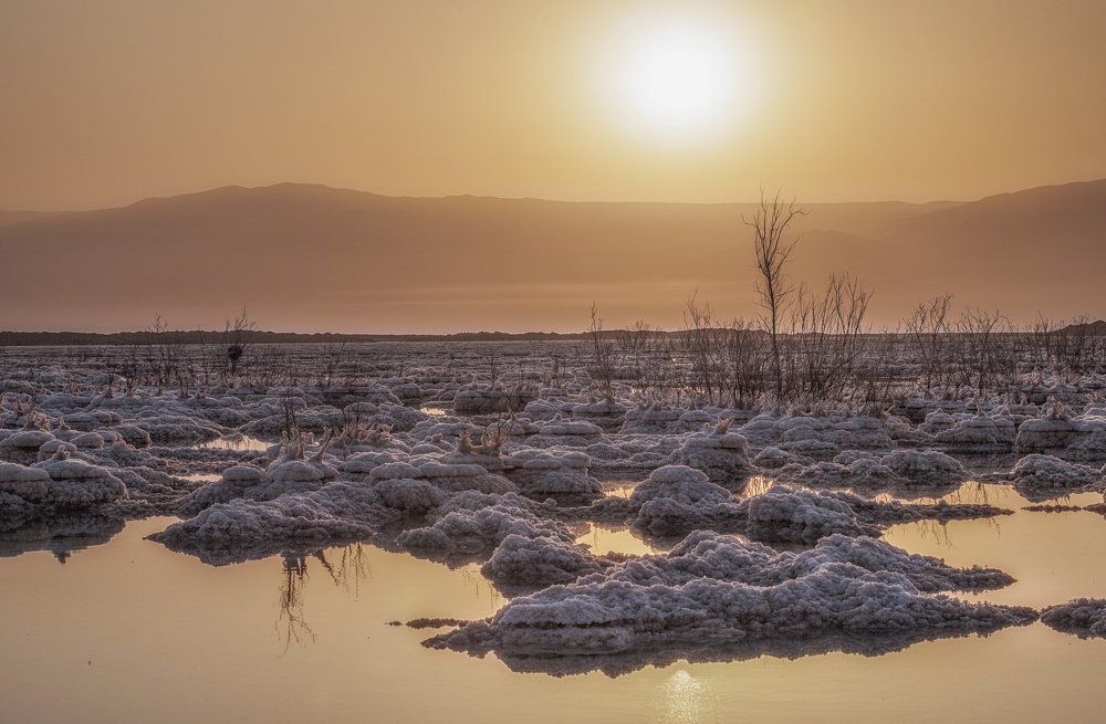Живое Мертвое море