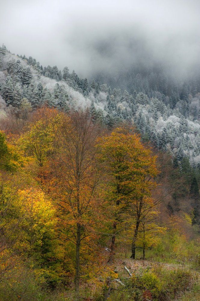 ОГОНЬ И ЛЕД