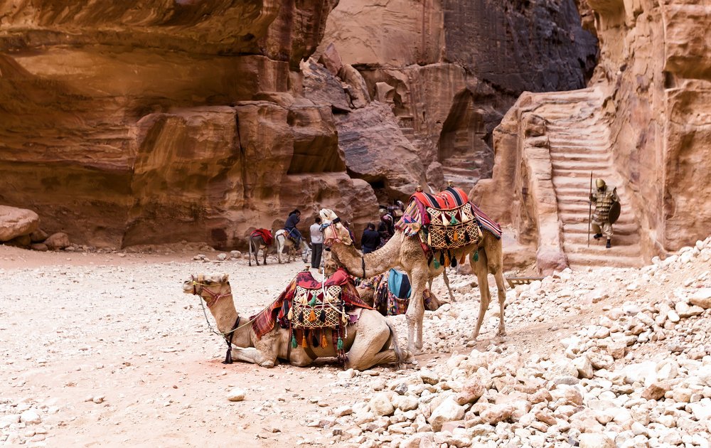 Иордания. Петра. Городской транспорт.